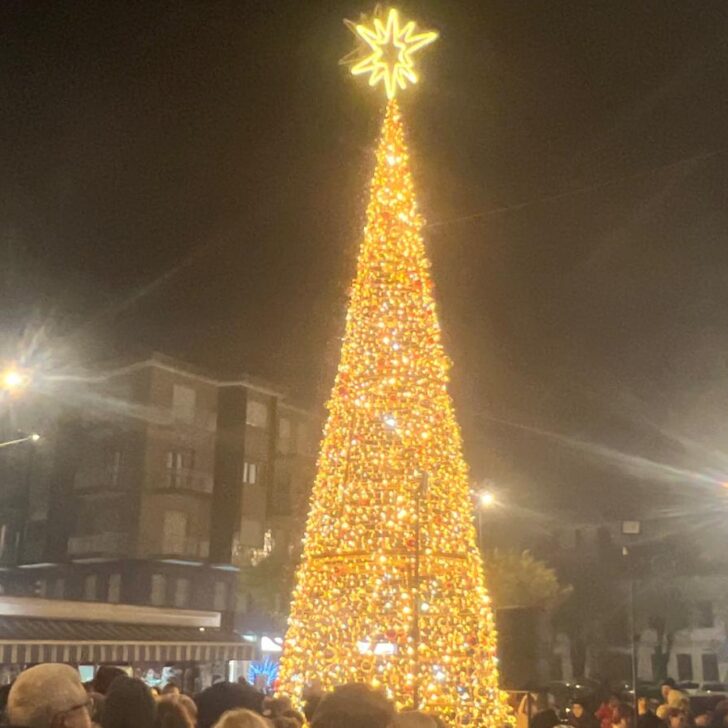 A Valenza acceso l’albero di Natale: attivate anche le luminarie in centro