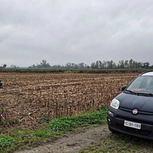 Auto esce di strada vicino al casello di Casale Nord: nessun ferito grave