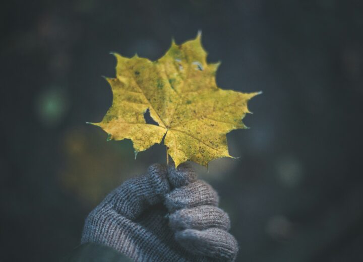 Le previsioni meteo in Piemonte del weekend dal 22 al 24 novembre