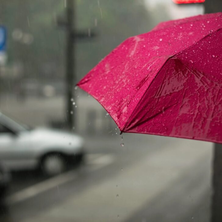 A due anni dalla grande siccità il Piemonte va verso il record di piogge. Arpa: “Effetti dell’alternanza di estremi climatici”