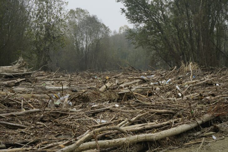 Fiume Po invaso dai rifiuti accumulati sulle sponde dopo la piena: la segnalazione a Bassignana