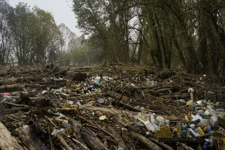 Fiume Po invaso dai rifiuti accumulati sulle sponde dopo la piena: la segnalazione a Bassignana