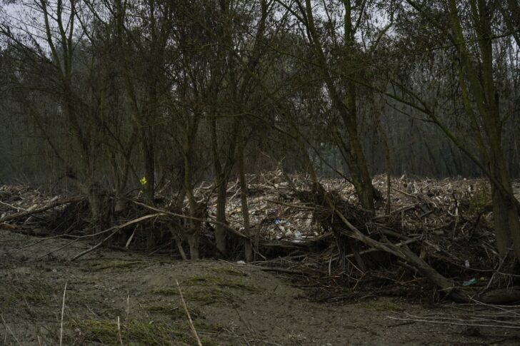 Fiume Po invaso dai rifiuti accumulati sulle sponde dopo la piena: la segnalazione a Bassignana