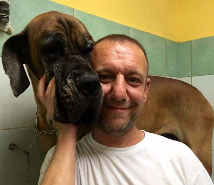 Alessandria piange Stefano Bovone, da sempre in prima linea per gli animali