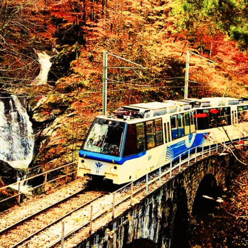 Ultimo weekend sul Treno del Foliage: mille colori e un viaggio senza tempo