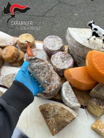 Formaggi senza etichette e pesce e carne mal congelati. Forestali sequestrano 300 Kg di cibo