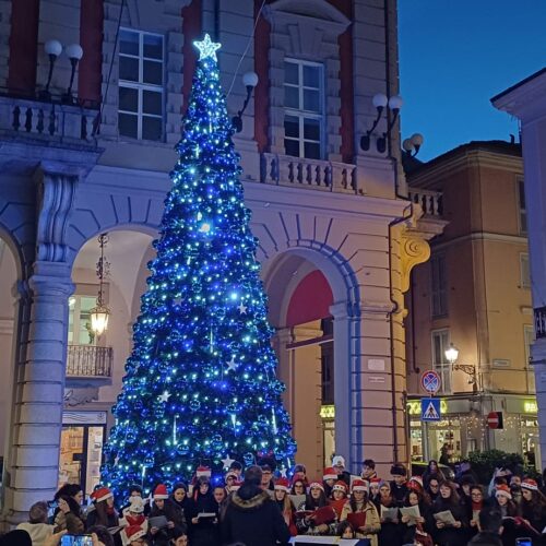 Ad Alessandria acceso l’albero di Natale in piazza della Libertà