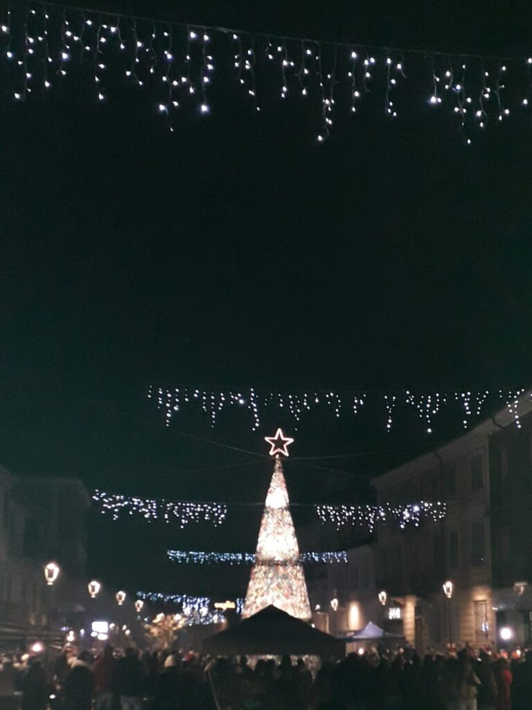 Albero uncinetto Rocchetta Tanaro 2024