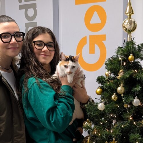 Miele è la vincitrice di “Pet Gold Christmas”, il contest natalizio a 4 zampe di Radio Gold