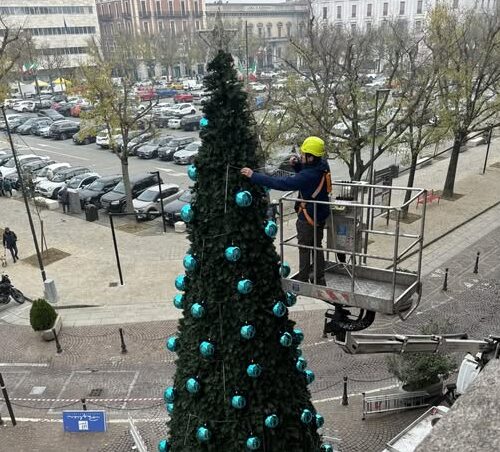 Si accende il grande albero di Natale davanti a Palazzo Rosso