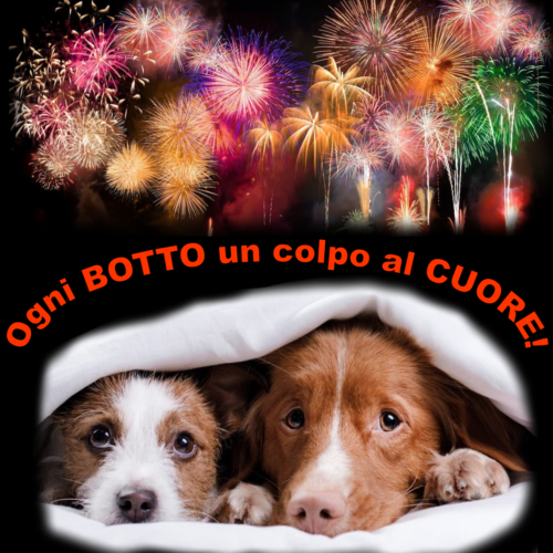 “Capodanno senza botti”: l’appello dell’assessora al Welfare Animale di Alessandria