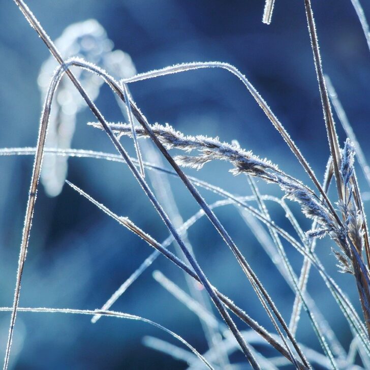 Temperature sottozero in provincia: a Frascaro toccati i -8.2 gradi