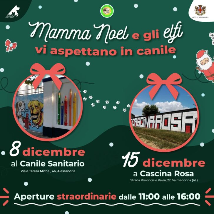 Mamma Natale al Canile di Alessandria per incontrare i piccoli e insegnare l’amore per i cani
