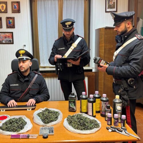 Carabinieri scoprono cabina per essiccare marijuana: arrestato 28enne