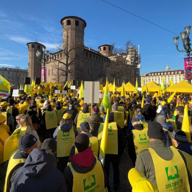 Coldiretti Alessandria: “Nel 2024 colture dimezzate o azzerate. Servono aiuti”