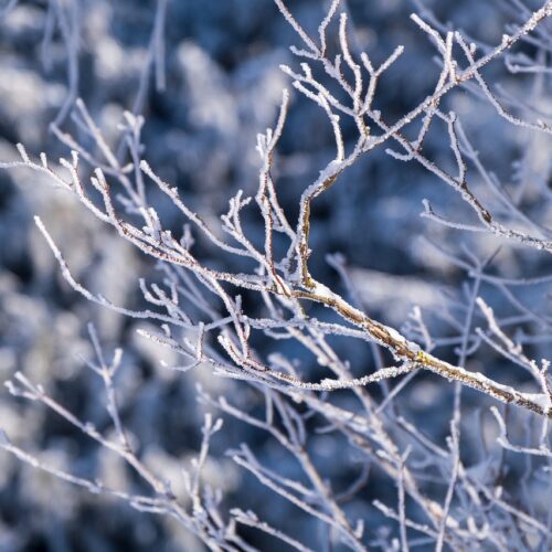 Meteo: nella notte possibili nevicate sulle zone appenniniche della nostra provincia