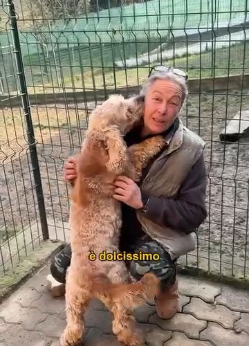 L’influencer Doggo Daiily al canile di Cerrina dell’associazione Ponte dell’Arcobaleno