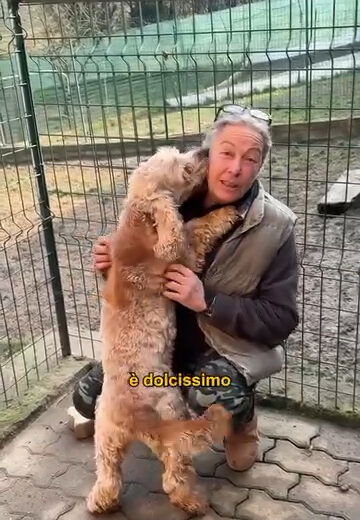 L’influencer Doggo Daiily al canile di Cerrina dell’associazione Ponte dell’Arcobaleno