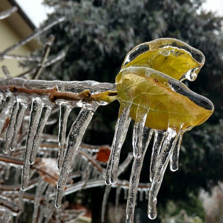 Meteo: locali fenomeni di pioggia gelata in alcune zone della provincia. Neve dai 600 metri