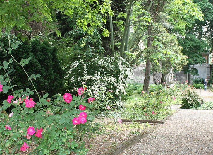 Bilancio 2024 positivo per gli orti botanici della Lombardia. A Pavia più di 7 mila visitatori