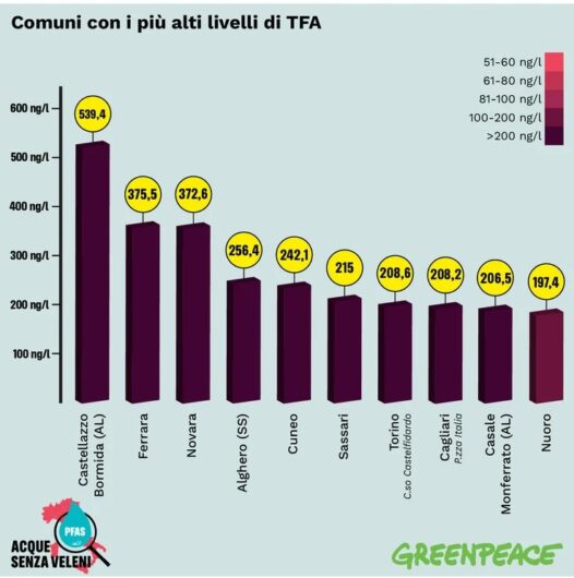 Pfas nell’acqua. Nella mappa di Greenpeace Tortona tra le città più contaminate. A Castellazzo i valori più elevati di TFA