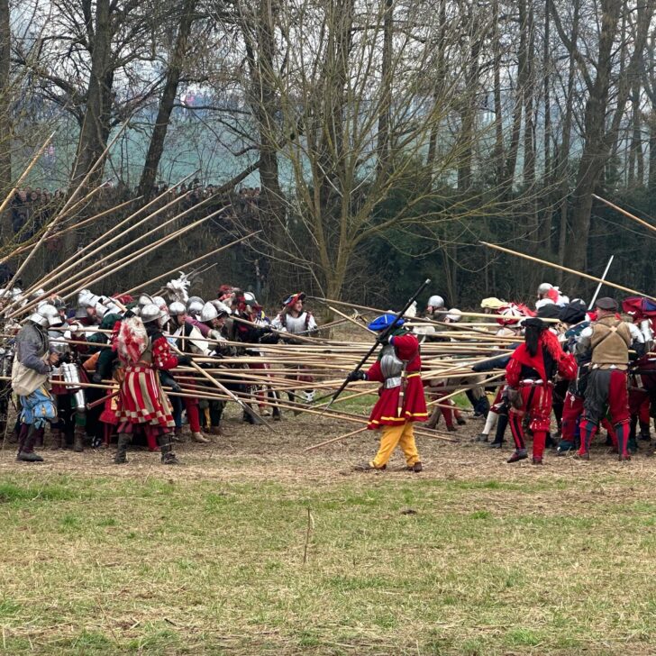 Le FOTO e i VIDEO della Rievocazione storica della Battaglia di Pavia