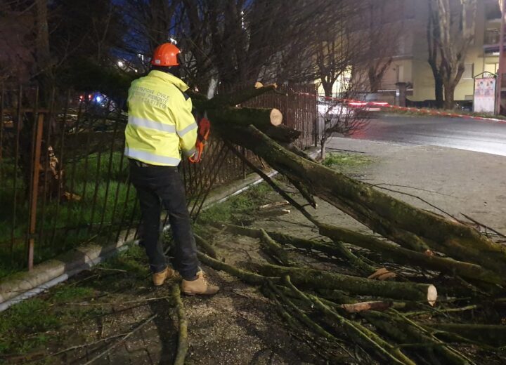 Alberi e rami sferzati dal vento in diverse zone dell’Alessandrino