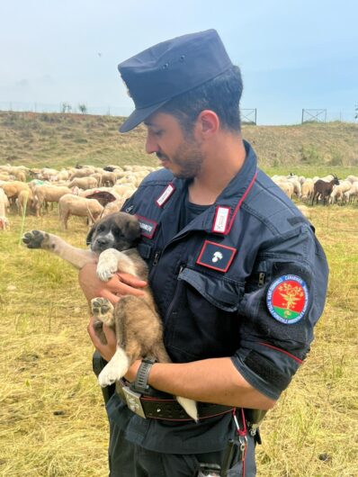 Nuovi Carabinieri Forestali per le province di Alessandria e Asti