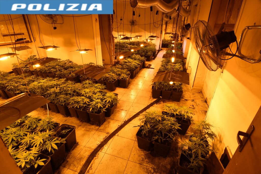 marijuana albergo abbandonato