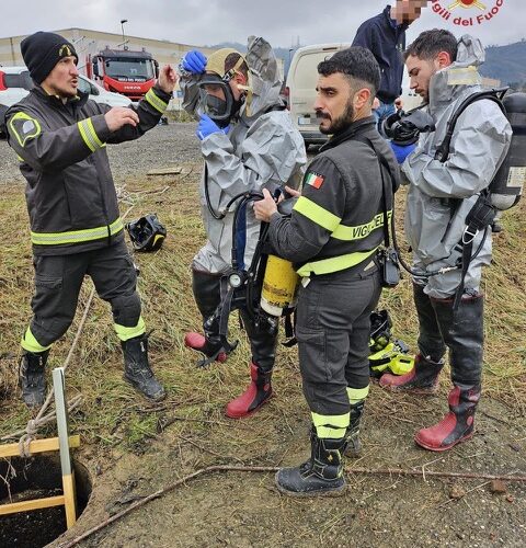 Vigili del Fuoco salvano una pecora e un agnellino caduti in una fognatura