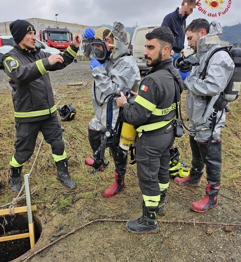 Vigili del Fuoco salvano una pecora e un agnellino caduti in una fognatura