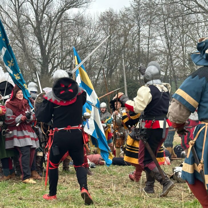 Al Parco del Castello di Mirabello rivive la Battaglia di Pavia del 1525. Segui la DIRETTA