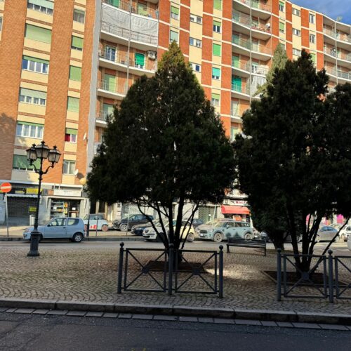 Ripristinato il decoro nell’area verde in largo Vicenza ad Alessandria