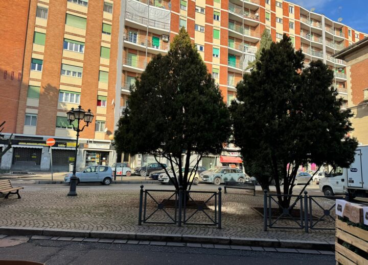 Ripristinato il decoro nell’area verde in largo Vicenza ad Alessandria