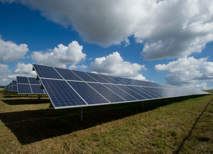 Nuovo PGT a Pavia: stop agli allevamenti intensivi e al fotovoltaico a terra