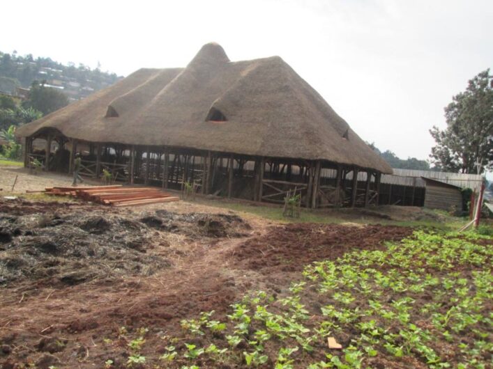 Dalla provincia all’Africa per costruire scuole ma ora c’è la guerra: il dramma del Congo raccontato dai volontari