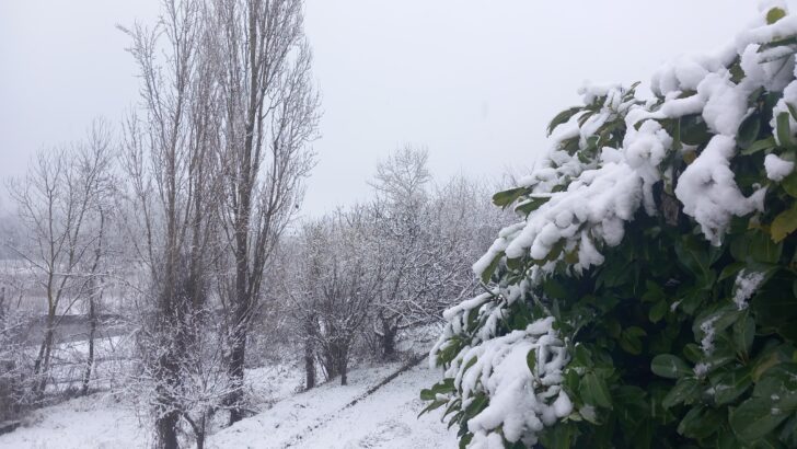 Fiocchi di neve in provincia di Alessandria: le foto