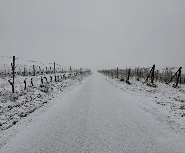 Fiocchi di neve in provincia di Alessandria: le foto