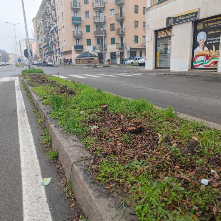 Incrocio corso Carlo Marx-via Bonardi ad Alessandria: tagliata la siepe per migliorare la visibilità