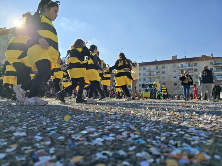 Carnevale a Valenza: un grande successo. Premi per l’associazione Vivere Insieme, Opera Pia Pellizzari e S. Salvatore