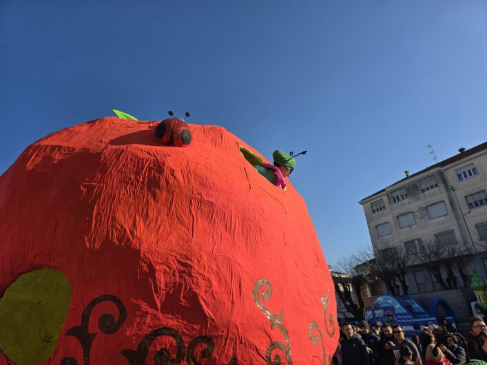 Carnevale a Valenza: un grande successo. Premi per l’associazione Vivere Insieme, Opera Pia Pellizzari e S. Salvatore