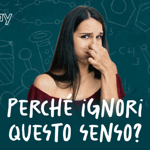 L’olfatto: il senso dimenticato che ci guida più di quanto pensi! – Biologi alla Riscossa #5