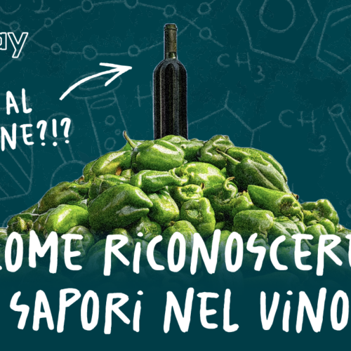 Perché il vino profuma di peperone verde? – Biologi alla Riscossa #8