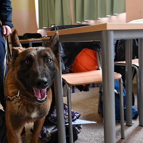 Scuola e Carabinieri insieme per la legalità: controlli antidroga al Barletti di Ovada