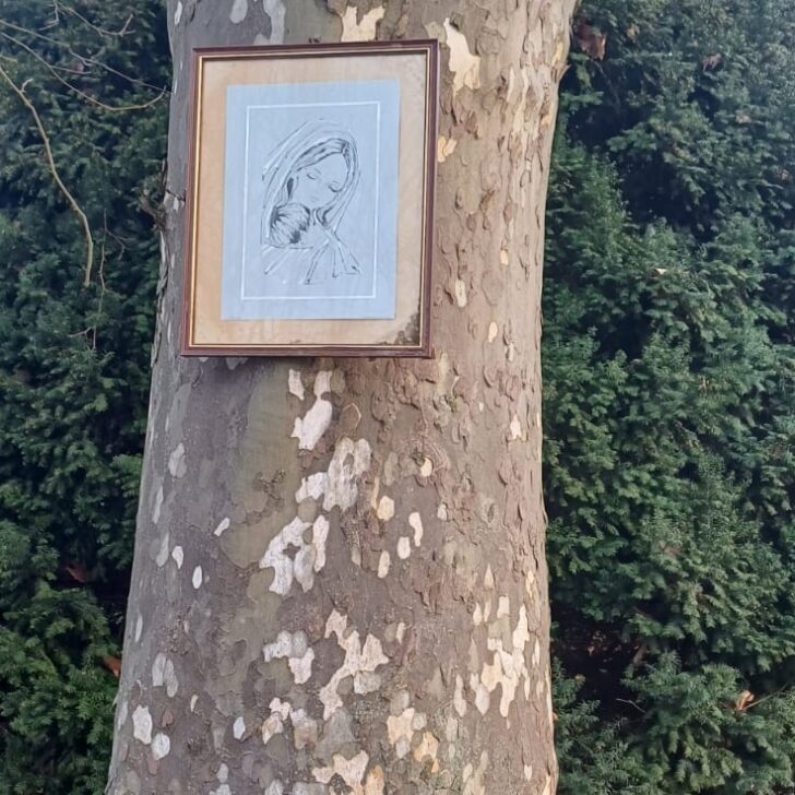 Stazione di Alessandria: un quadro appeso a un albero dei giardini