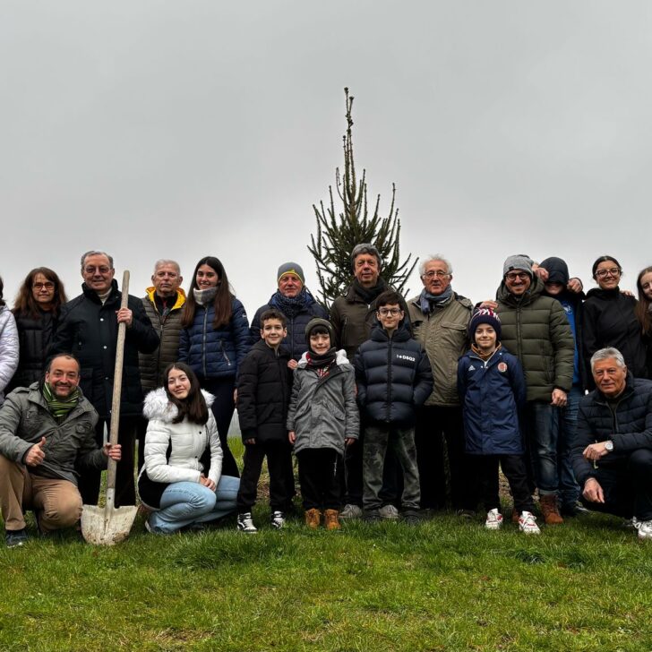 Un nuovo albero e giochi per bambini a Villa del Foro