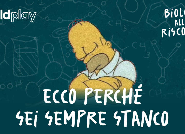 ECCO PERCHÉ SEI SEMPRE STANCO! La scienza del sonno – Biologi alla Riscossa #7