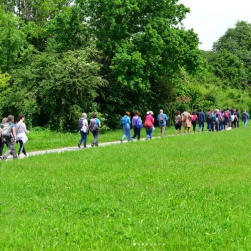 “Camminare”, il Festival del Social Walking 2025 a “Fa’ la cosa giusta!”