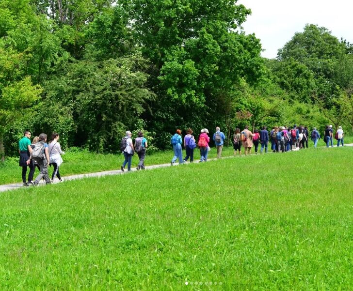 “Camminare”, il Festival del Social Walking 2025 a “Fa’ la cosa giusta!”