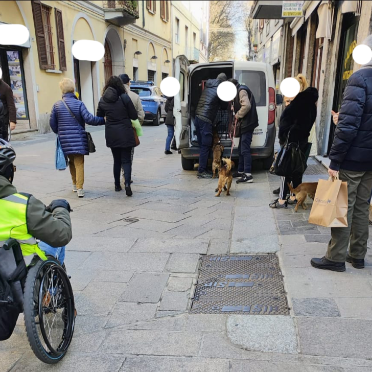 Il sindaco di Pavia interviene dopo il caso del maltrattamento cani in corso Cavour